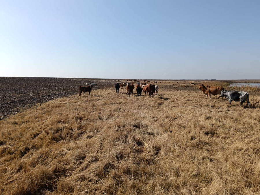 0 Bedroom Property for Sale in Heilbron Rural Free State
